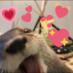 Meet your Posher, Jenae